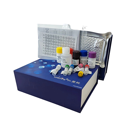 人（Human）cd206 分子（cd206）ELISA 检测试剂盒