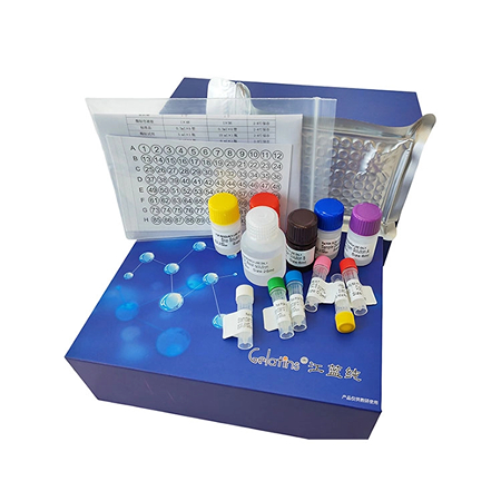 人角蛋白8(KRT8)酶联免疫分析试剂盒