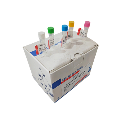 马巴贝斯虫探针法荧光定量PCR试剂盒